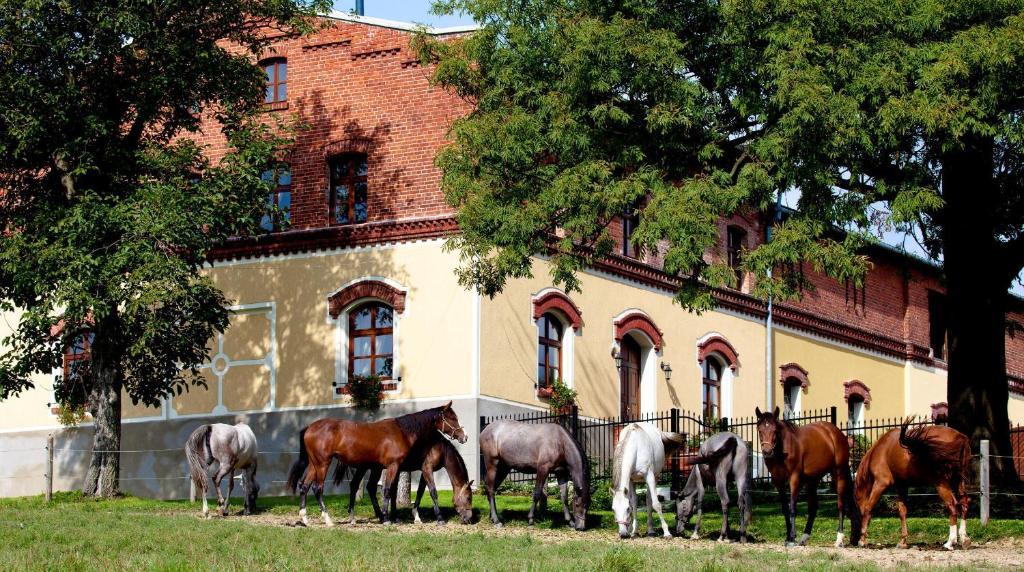 Rothschilduv Dvur *